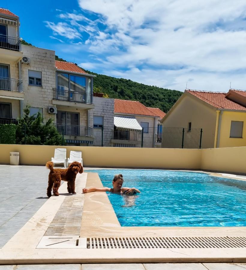 Anja & Ogo Apartments Sea View & Pool Petrovac Exterior photo